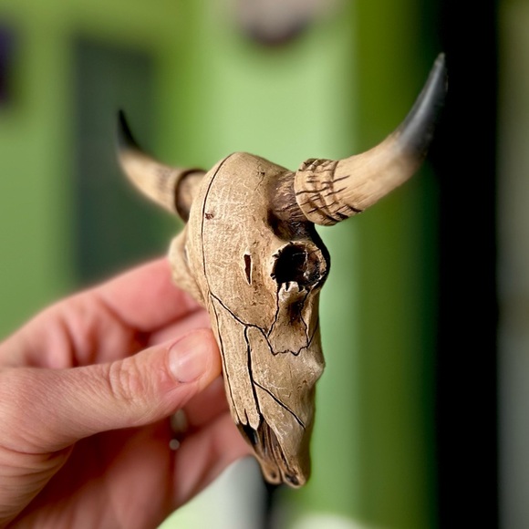 Rustic Cottagecore Animal Faux Skull Skeleton Textured Wall Farm Decor Art x2 - Picture 3 of 10